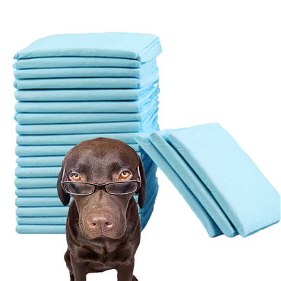 600X350mm pannolino impermeabile per animali da compagnia per l'addestramento alle pisciole dei cani in materiale in fibra