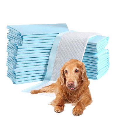 Tipo di prodotto Paddine assorbenti di urina per cuccioli e animali da compagnia Prezzi competitivi per le esigenze dei clienti