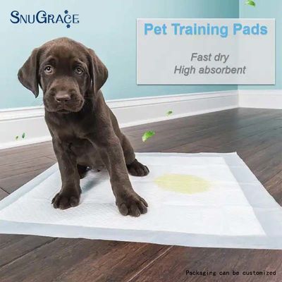 SNUGRACE Dog Pee Pad per l'addestramento veloce al pisolino 600X350mm 600X450mm 600X600mm 900X600mm