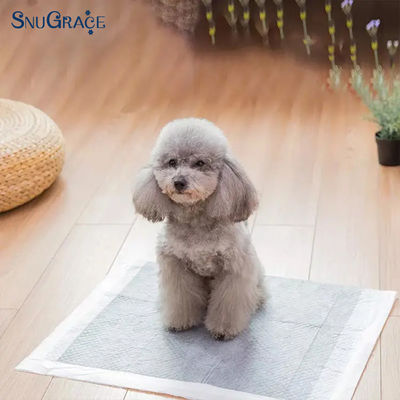 SnuGrace Pet Urin Pads da XS-XXXL Dimensioni Pulpa di pellicola SAP Tessuto non tessuto PE