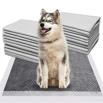 CE ISO Certified Blue SnuGrace Dog Pee Mat Assorbente veloce e resistente Mat di allenamento per animali domestici