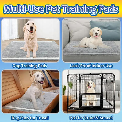CE ISO Certified Blue SnuGrace Dog Pee Mat Assorbente veloce e resistente Mat di allenamento per animali domestici