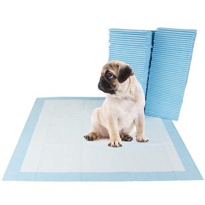 Pad in cotone monouso personalizzato per l' addestramento di animali domestici Wee Wee Pad in colore