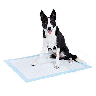 Pad in cotone monouso personalizzato per l' addestramento di animali domestici Wee Wee Pad in colore