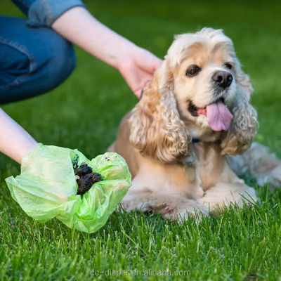 Sacchetto di cacca biodegradabile per cani in colore personalizzato realizzato in materiale per lo smaltimento dei rifiuti degli animali domestici