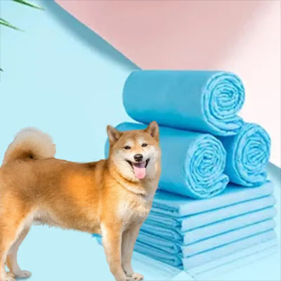 Matto per la cura della salute per animali domestici personalizzato 6Ply Disposable Training Pet Pad 60x60 per un'allenamento facile