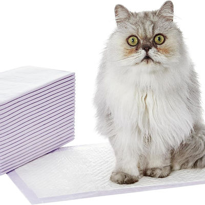 Pad per l'incontinenza, coperture da letto e pad per l'addestramento dei cuccioli con campioni offerti gratuitamente