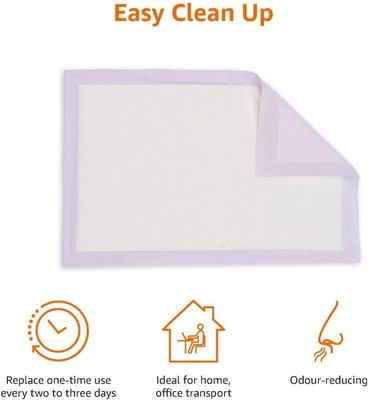 Pad per l'incontinenza, coperture da letto e pad per l'addestramento dei cuccioli con campioni offerti gratuitamente