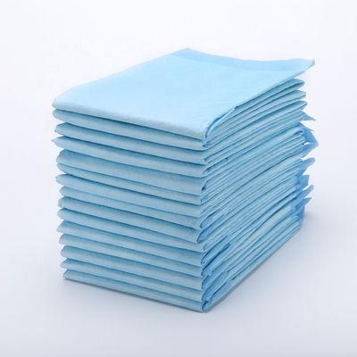 BV Certified Dog Sleeping Pad for Dry Surface Absorbency e certificazione ISO9001