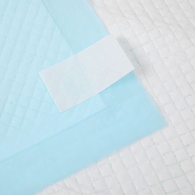 BV Certified Dog Sleeping Pad for Dry Surface Absorbency e certificazione ISO9001