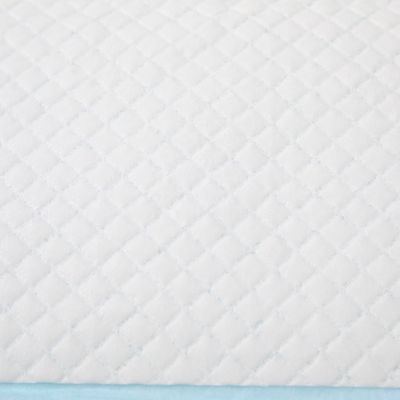 BV Certified Dog Sleeping Pad for Dry Surface Absorbency e certificazione ISO9001