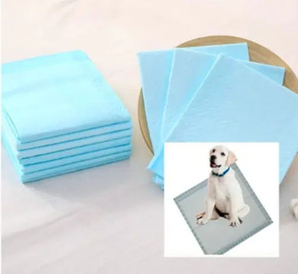 Super assorbente pad per cani 6Ply Underpad monouso con super assorbente