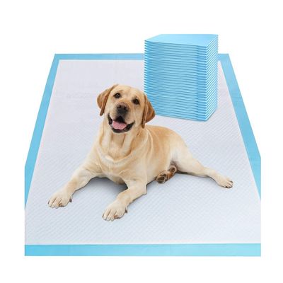 Campioni offerti gratuitamente Prodotti OEM/ODM Pad di pipi' per la toilette per animali domestici per addestramento e sonno dei cuccioli