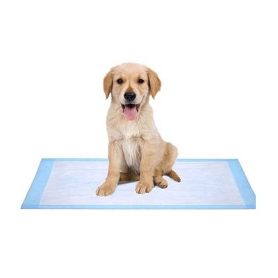 Campioni offerti gratuitamente Prodotti OEM/ODM Pad di pipi' per la toilette per animali domestici per addestramento e sonno dei cuccioli