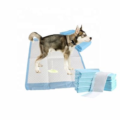Campioni offerti gratuitamente Prodotti OEM/ODM Pad di pipi' per la toilette per animali domestici per addestramento e sonno dei cuccioli