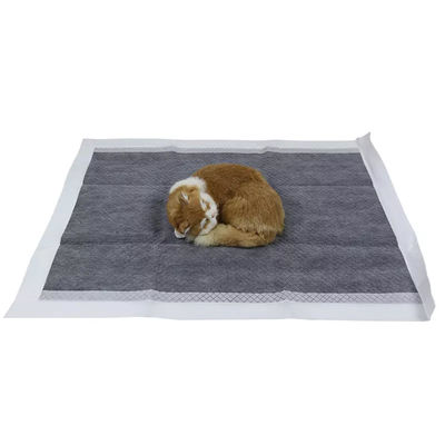 Campioni offerti gratuitamente Prodotti OEM/ODM Pad di pipi' per la toilette per animali domestici per addestramento e sonno dei cuccioli