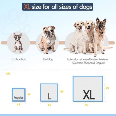 Campioni offerti gratuitamente Prodotti OEM/ODM Pad di pipi' per la toilette per animali domestici per addestramento e sonno dei cuccioli