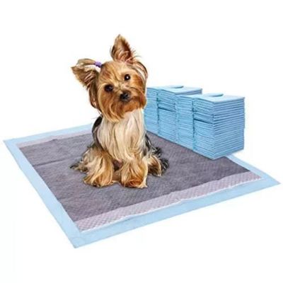 Esemplari offerti liberamente Biodegradabile Cane cucciolo extra grande animale domestico gatto Cane addestramento cucciolo cuscinetti