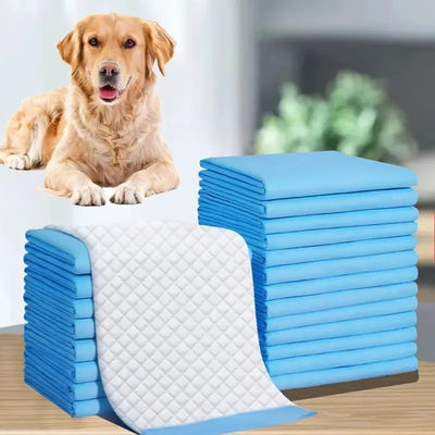 Pad di allenamento a 5 strati a prova di perdite per cani e gatti Eco-friendly Disposable Pet Pee Pad
