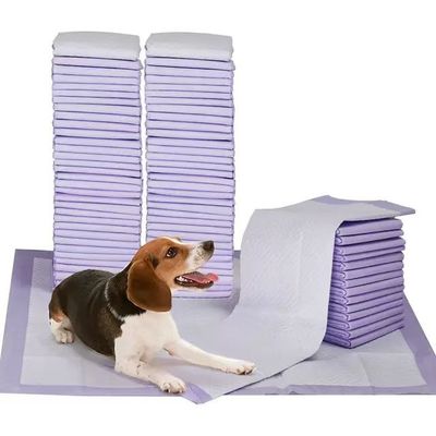 Esemplari gratuiti offerti Pad di piscio per animali da compagnia usa e getta con adesivi di posizionamento a quattro angoli
