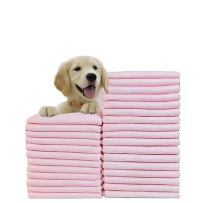 S.M.L.XL.XXL Pad sanitari per animali domestici per OEM/ODM Colorato personalizzato Pad di piscio per animali domestici usa e getta