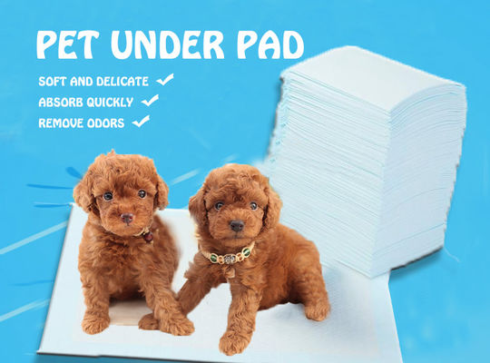 S.M.L.XL.XXL Pad sanitari per animali domestici per OEM/ODM Colorato personalizzato Pad di piscio per animali domestici usa e getta