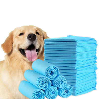 Prodotti di addestramento per animali blu/bianco/verde/nero/grigio