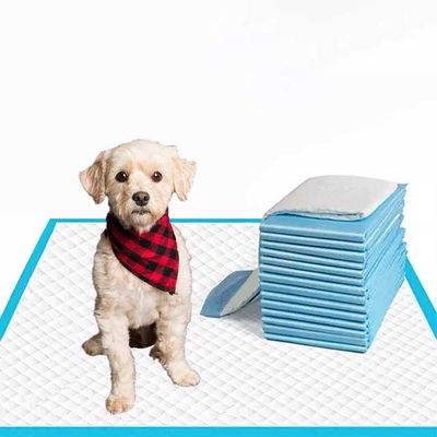 Pad per animali domestici in tessuto non tessuto per addestramento di cuccioli di cane Pulpa di pelliccia SAP Tissue PE Esemplari gratuiti