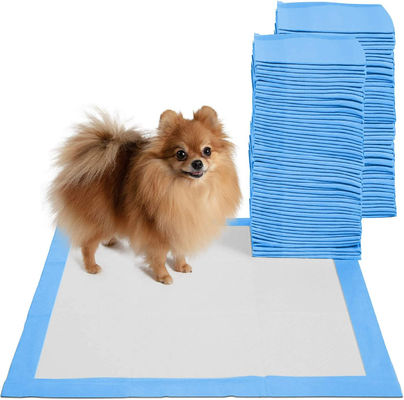 Prodotti di addestramento per animali da compagnia Pad monouso superassorbente a prova di perdite per cani Gatti Animali