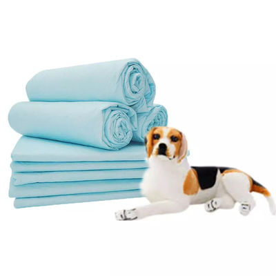 Prodotti per l'addestramento degli animali domestici in PE Extra Large Disposable Pet Pads for Puppy Potty Training