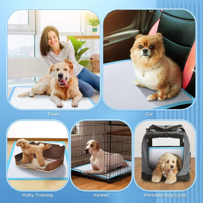 30" x 36" X Grande Nero Proof Leak Dog Wee Wee Pad per addestramento del cucciolo Adesivo 5 strato