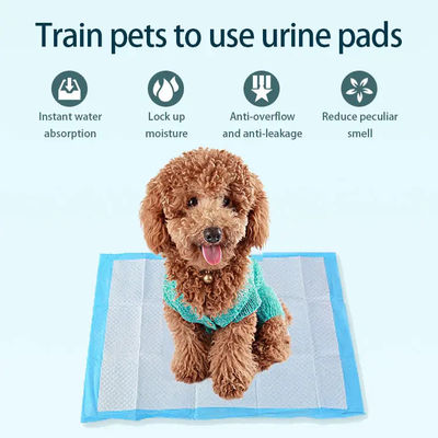 Pulpa di pellicola SAP Tessuto non tessuto Tissue PE impermeabile Matta per animali da compagnia pannolino per addestramento dei cuccioli