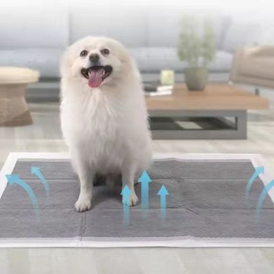 Cuccioli di addestramento per animali domestici Piss Pad con Sandia o Sumitomo SAP e colore personalizzato