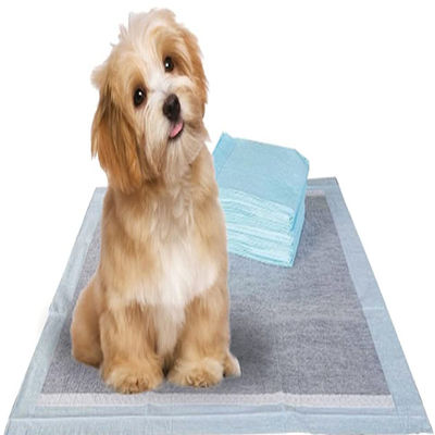Cuccioli di addestramento per animali domestici Piss Pad con Sandia o Sumitomo SAP e colore personalizzato