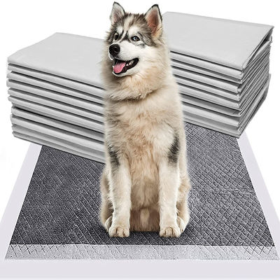 Cuccioli di addestramento per animali domestici Piss Pad con Sandia o Sumitomo SAP e colore personalizzato