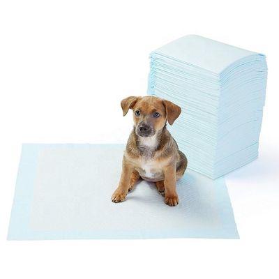 Pad igienici per cani a colori personalizzati per animali domestici