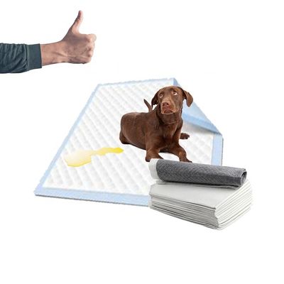 Pad igienici per cani a colori personalizzati per animali domestici