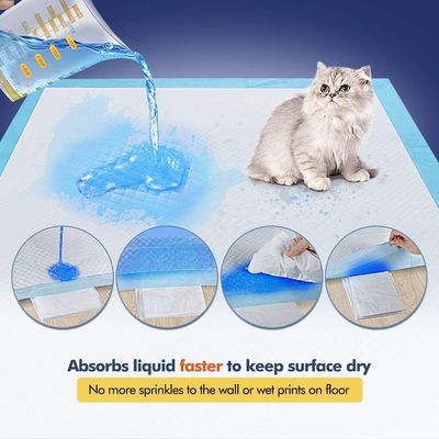 Disposable Friendly Pet Training e Puppy Underpad ad alta assorbibilità idrica Pad per cani