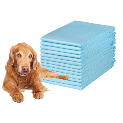 Dimensioni personalizzate campioni gratuiti Pad di addestramento per animali da compagnia usa e getta per l'addestramento del cucciolo