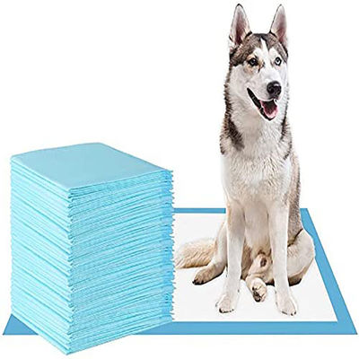 60*45/60*60/60*90cm Deodorante SAP Pet Pee Pad per l'addestramento alle urine vaginali S M L XL XXL