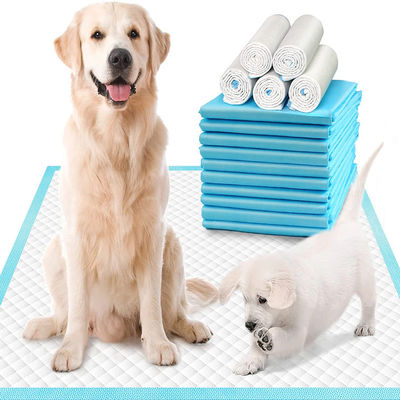 60*45/60*60/60*90cm Deodorante SAP Pet Pee Pad per l'addestramento alle urine vaginali S M L XL XXL