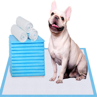 60*45/60*60/60*90cm Deodorante SAP Pet Pee Pad per l'addestramento alle urine vaginali S M L XL XXL