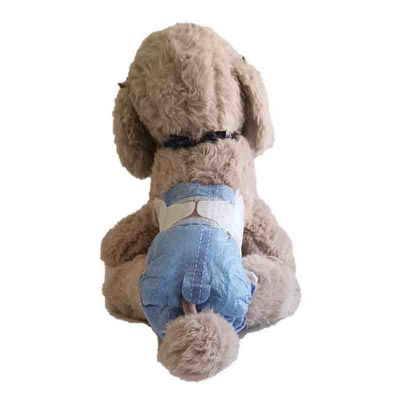 Bambino per cani personalizzato per cani femmine 6 dimensioni colore personalizzabile
