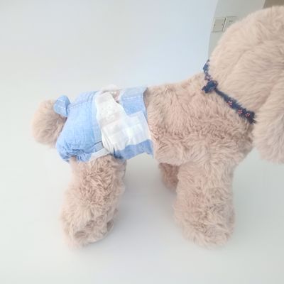 Bambino per cani personalizzato per cani femmine 6 dimensioni colore personalizzabile