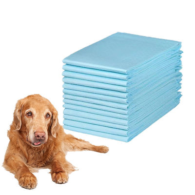 600X600mm Pad di pipi' usa e getta per cuccioli con elevato assorbimento
