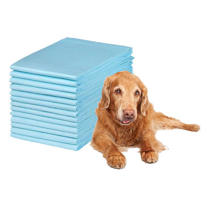Pad di allenamento alle pisciole per animali da compagnia pannolini ultra-assorbenti per un'efficace formazione all'incontinenza