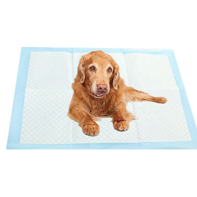 Extra Large Pet Dog Urine Training Pad per cuccioli Blu CE ISO Certificato