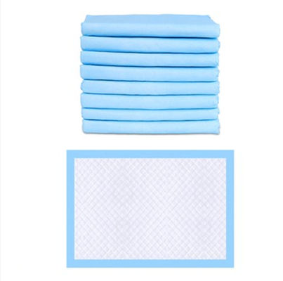 Extra Large Pet Dog Urine Training Pad per cuccioli Blu CE ISO Certificato