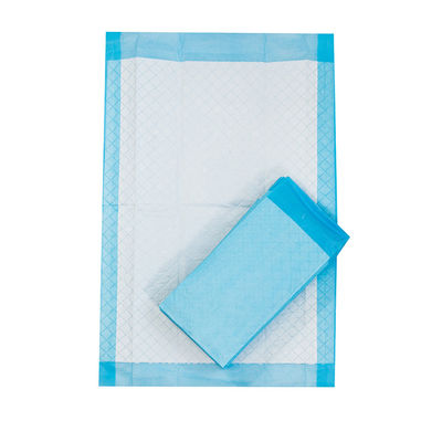 Extra Large Pet Dog Urine Training Pad per cuccioli Blu CE ISO Certificato