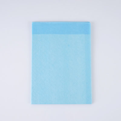 Extra Large Pet Dog Urine Training Pad per cuccioli Blu CE ISO Certificato